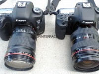 Canon EOS 5D Mark III with Canon EOS 7D front (click image to enlarge)